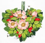 Astrea-Freya-Gluriya 016